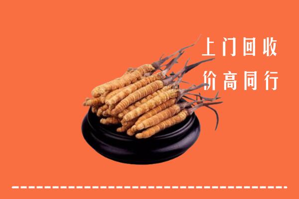 高价求购：宜宾高县回收散虫草