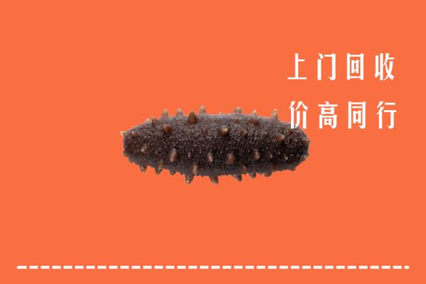高价求购：宜宾高县回收海参