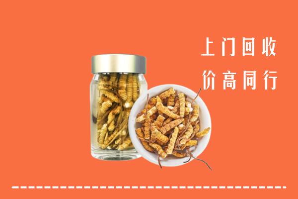 宜宾高县回收冬虫夏草