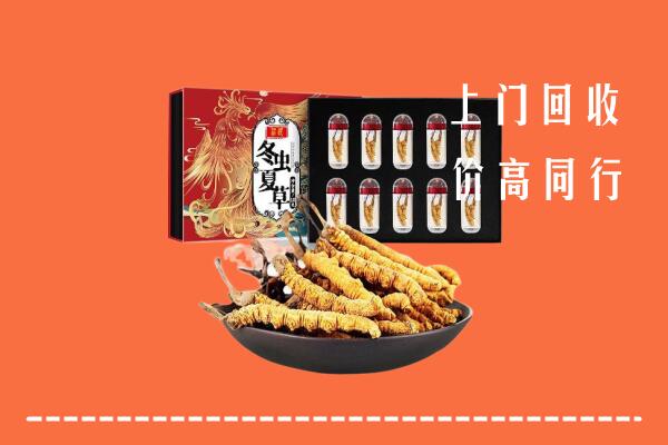 宜宾高县回收虫草